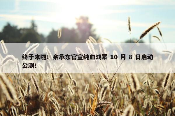 终于来啦！余承东官宣纯血鸿蒙 10 月 8 日启动公测！