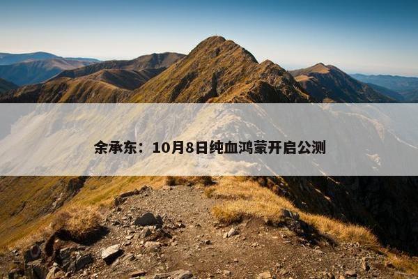 余承东：10月8日纯血鸿蒙开启公测