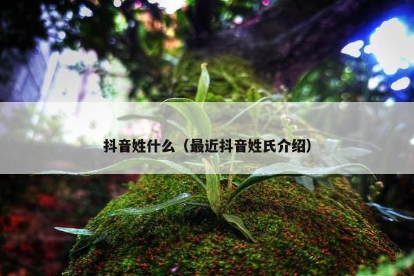 抖音姓什么（最近抖音姓氏介绍）