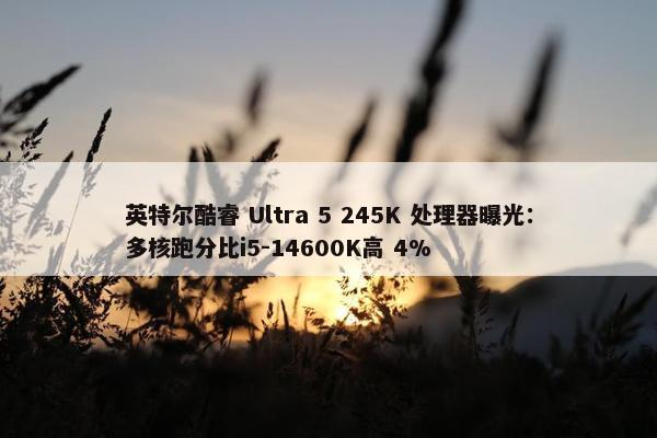 英特尔酷睿 Ultra 5 245K 处理器曝光：多核跑分比i5-14600K高 4%