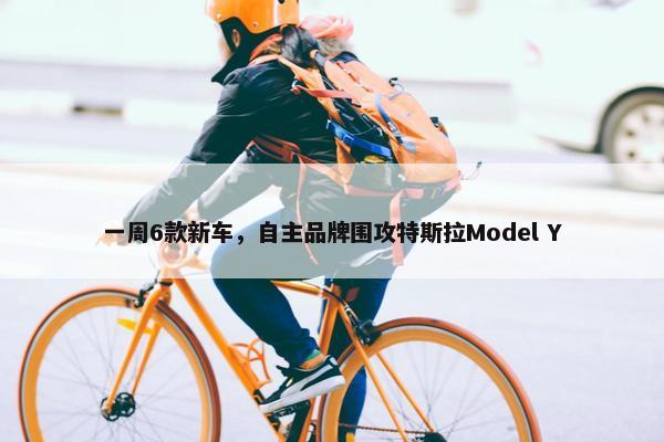 一周6款新车，自主品牌围攻特斯拉Model Y