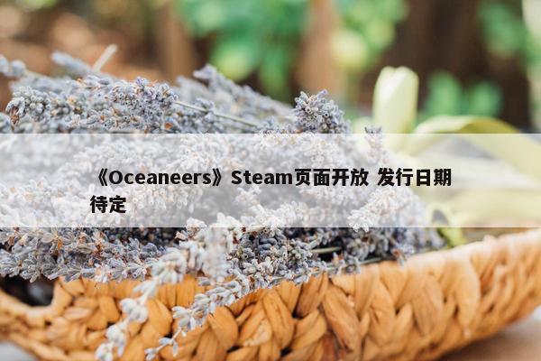 《Oceaneers》Steam页面开放 发行日期待定