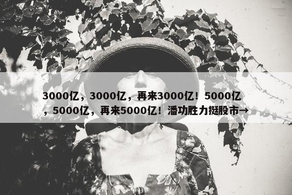 3000亿，3000亿，再来3000亿！5000亿，5000亿，再来5000亿！潘功胜力挺股市→