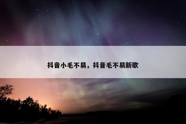 抖音小毛不易，抖音毛不易新歌