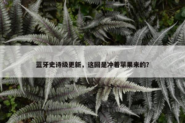 蓝牙史诗级更新，这回是冲着苹果来的？