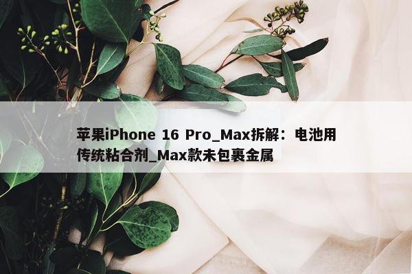 苹果iPhone 16 Pro_Max拆解：电池用传统粘合剂_Max款未包裹金属