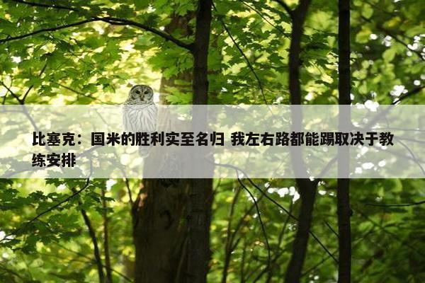 比塞克：国米的胜利实至名归 我左右路都能踢取决于教练安排