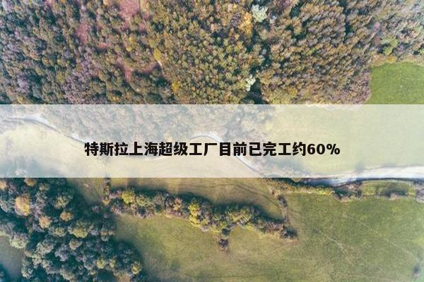 特斯拉上海超级工厂目前已完工约60%