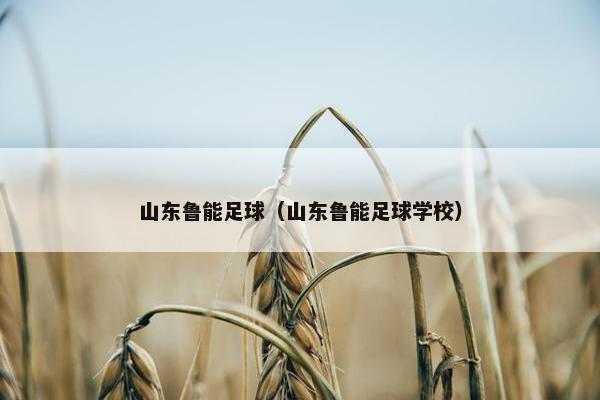 山东鲁能足球（山东鲁能足球学校）