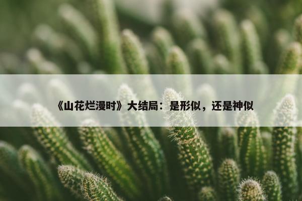 《山花烂漫时》大结局：是形似，还是神似