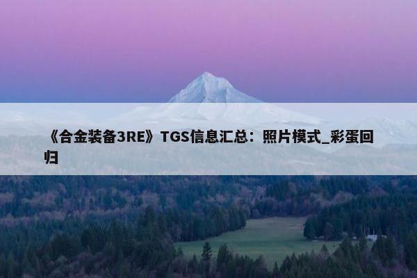 《合金装备3RE》TGS信息汇总：照片模式_彩蛋回归