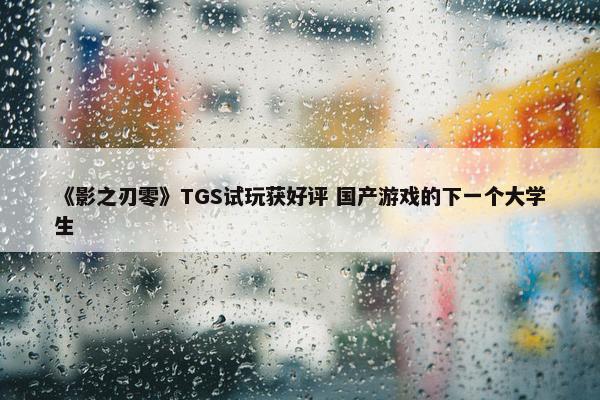 《影之刃零》TGS试玩获好评 国产游戏的下一个大学生