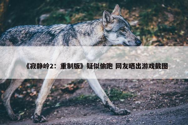 《寂静岭2：重制版》疑似偷跑 网友晒出游戏截图