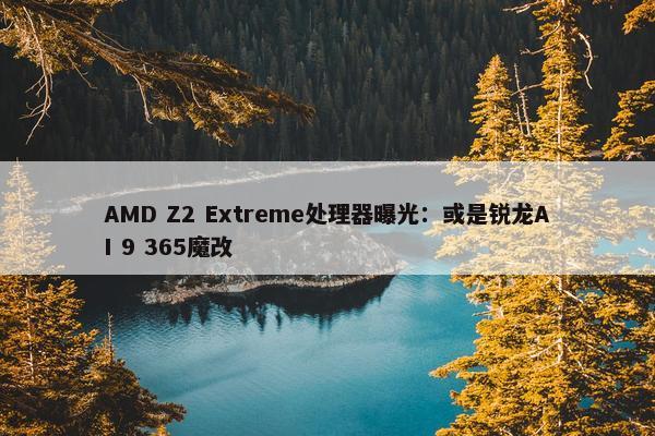 AMD Z2 Extreme处理器曝光：或是锐龙AI 9 365魔改