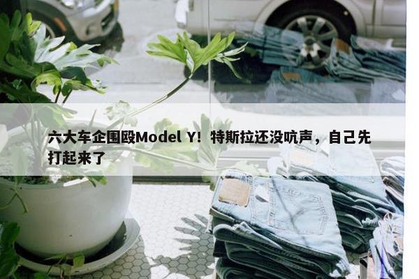 六大车企围殴Model Y！特斯拉还没吭声，自己先打起来了