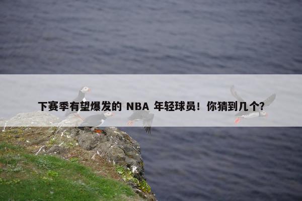 下赛季有望爆发的 NBA 年轻球员！你猜到几个？