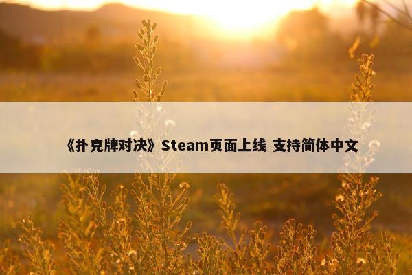 《扑克牌对决》Steam页面上线 支持简体中文