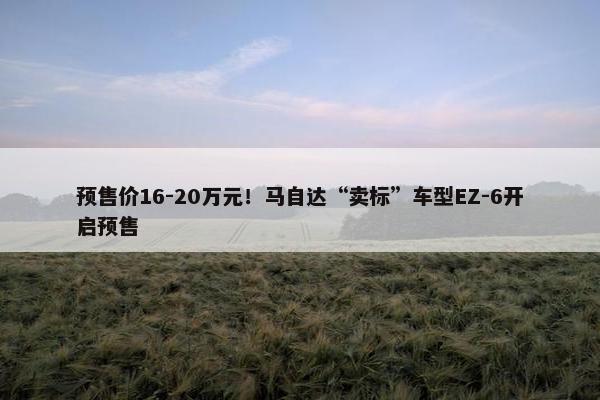 预售价16-20万元！马自达“卖标”车型EZ-6开启预售