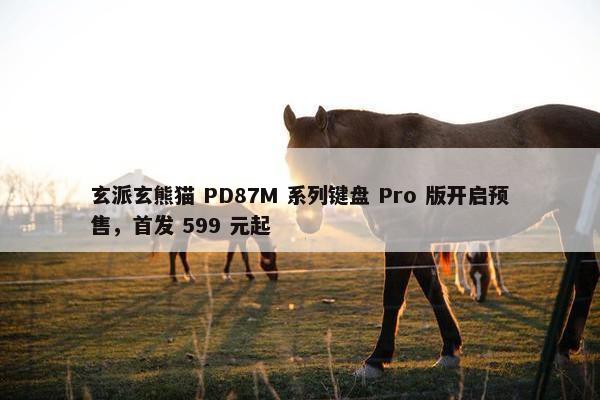 玄派玄熊猫 PD87M 系列键盘 Pro 版开启预售，首发 599 元起