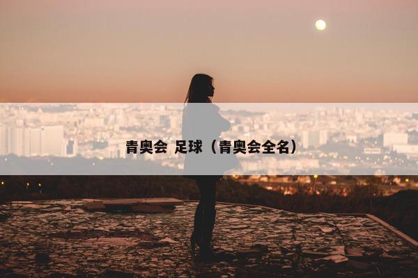 青奥会 足球（青奥会全名）