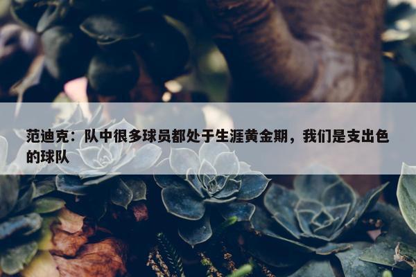 范迪克：队中很多球员都处于生涯黄金期，我们是支出色的球队