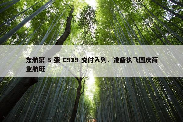 东航第 8 架 C919 交付入列，准备执飞国庆商业航班