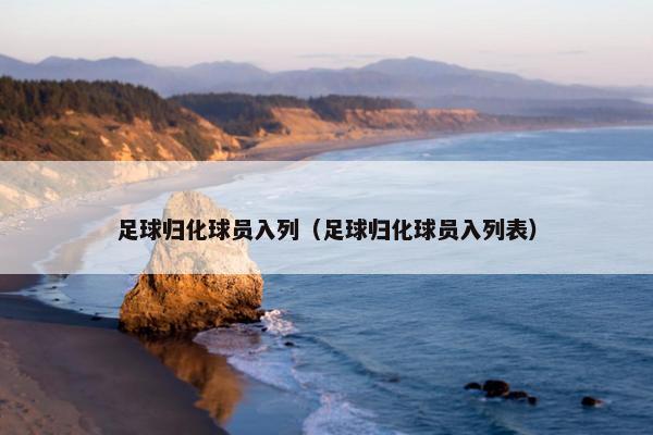 足球归化球员入列（足球归化球员入列表）