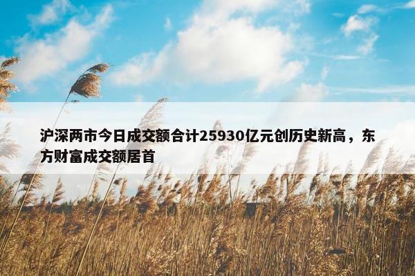 沪深两市今日成交额合计25930亿元创历史新高，东方财富成交额居首