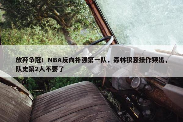 放弃争冠！NBA反向补强第一队，森林狼骚操作频出，队史第2人不要了