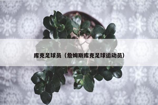 库克足球员（詹姆斯库克足球运动员）