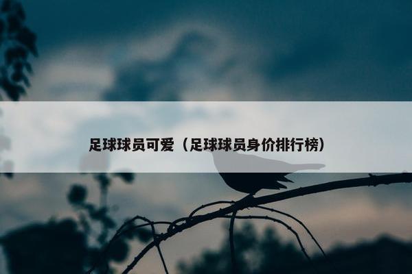 足球球员可爱（足球球员身价排行榜）