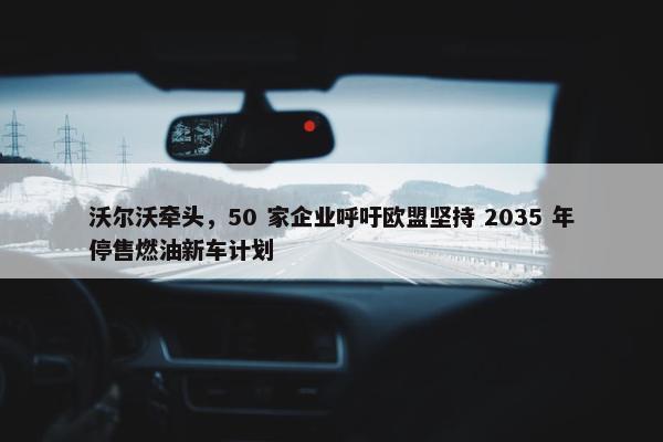 沃尔沃牵头，50 家企业呼吁欧盟坚持 2035 年停售燃油新车计划