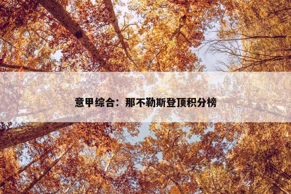 意甲综合：那不勒斯登顶积分榜