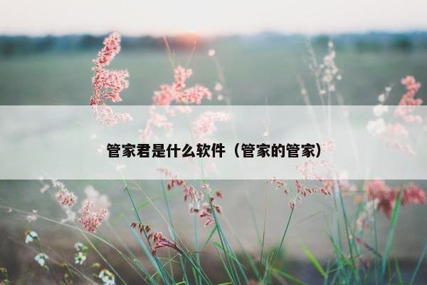 管家君是什么软件（管家的管家）