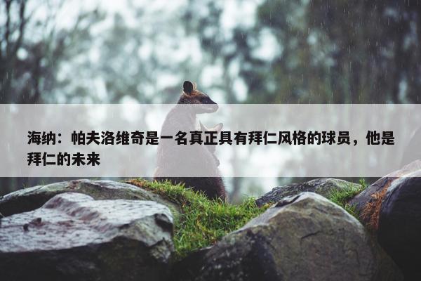 海纳：帕夫洛维奇是一名真正具有拜仁风格的球员，他是拜仁的未来