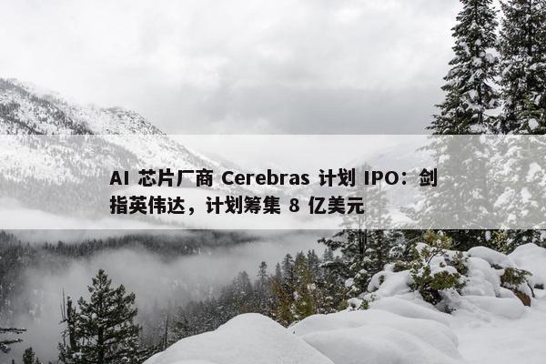 AI 芯片厂商 Cerebras 计划 IPO：剑指英伟达，计划筹集 8 亿美元