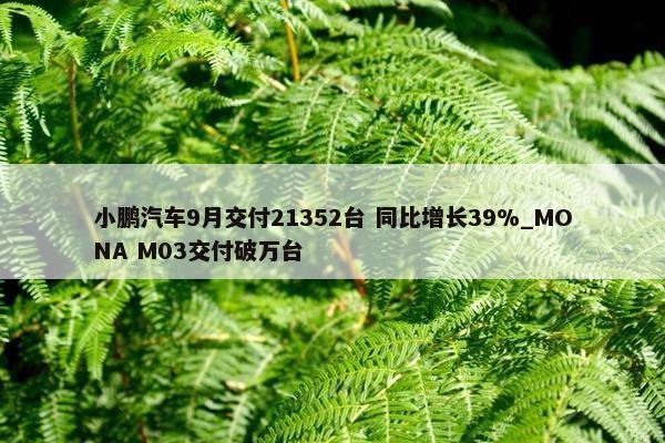 小鹏汽车9月交付21352台 同比增长39%_MONA M03交付破万台