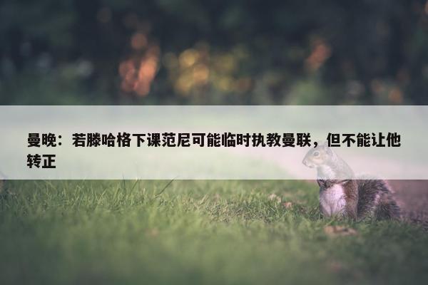 曼晚：若滕哈格下课范尼可能临时执教曼联，但不能让他转正