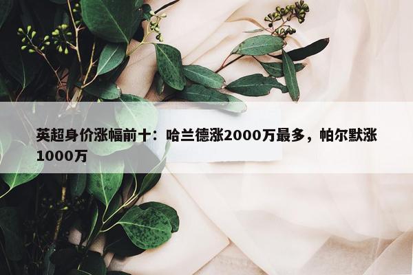 英超身价涨幅前十：哈兰德涨2000万最多，帕尔默涨1000万