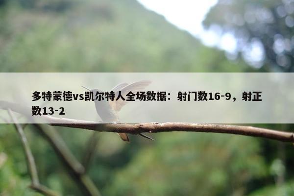 多特蒙德vs凯尔特人全场数据：射门数16-9，射正数13-2