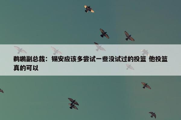 鹈鹕副总裁：锡安应该多尝试一些没试过的投篮 他投篮真的可以