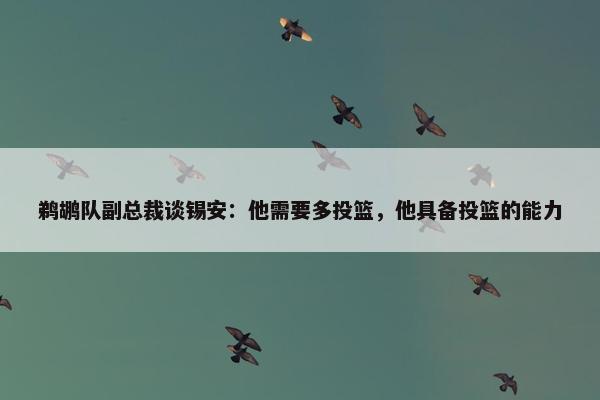 鹈鹕队副总裁谈锡安：他需要多投篮，他具备投篮的能力