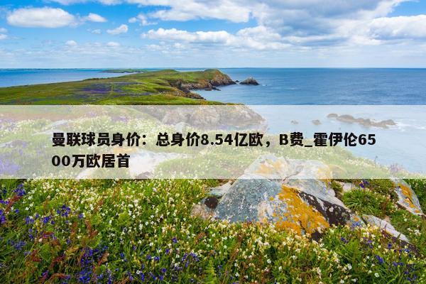 曼联球员身价：总身价8.54亿欧，B费_霍伊伦6500万欧居首