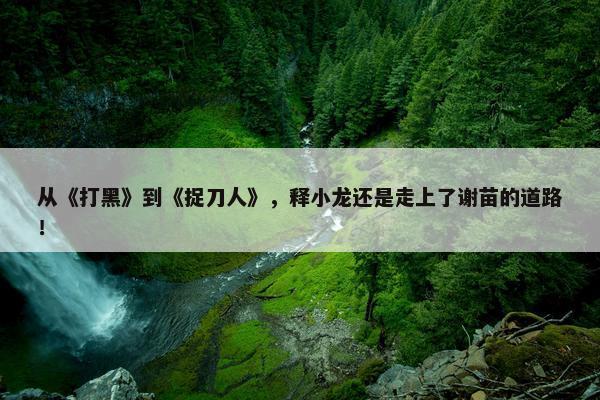 从《打黑》到《捉刀人》，释小龙还是走上了谢苗的道路！