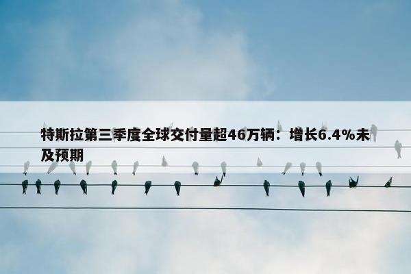 特斯拉第三季度全球交付量超46万辆：增长6.4%未及预期