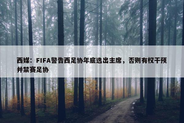 西媒：FIFA警告西足协年底选出主席，否则有权干预并禁赛足协