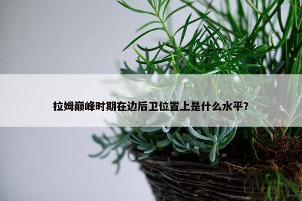 拉姆巅峰时期在边后卫位置上是什么水平？