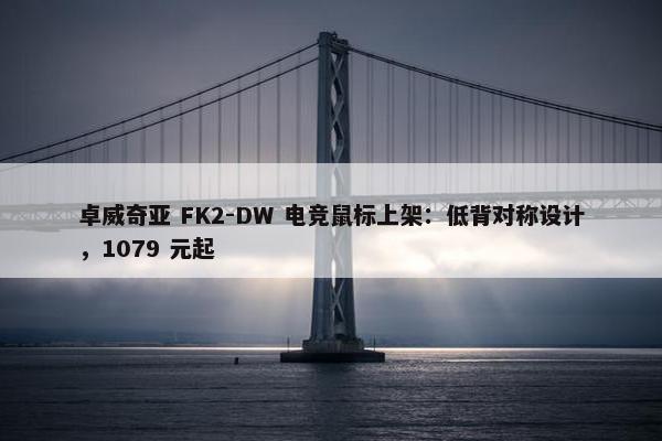 卓威奇亚 FK2-DW 电竞鼠标上架：低背对称设计，1079 元起