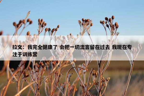 拉文：我完全健康了 会把一切流言留在过去 我现在专注于训练营