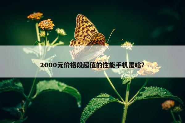 2000元价格段超值的性能手机是啥？